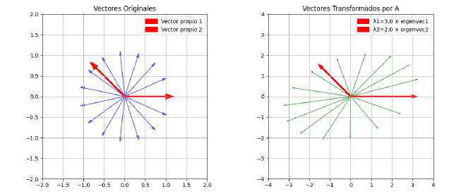 Visualizando vectores propios con Python